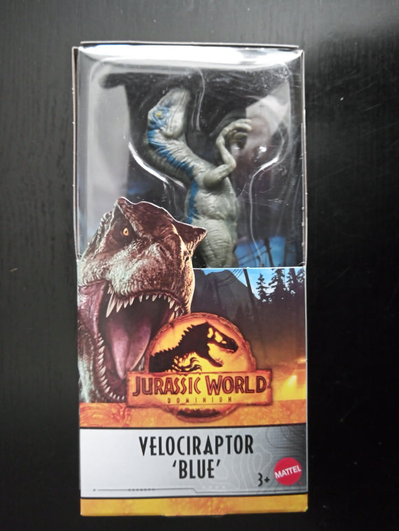 Velociraptor blue